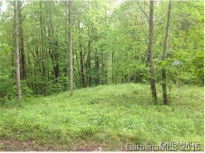none Balsam Meadows Road - Photo 1