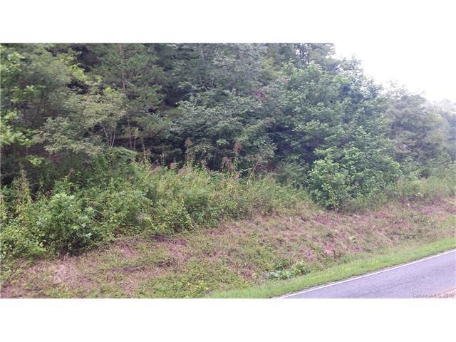 00 Lambert Fork Road - Photo 1