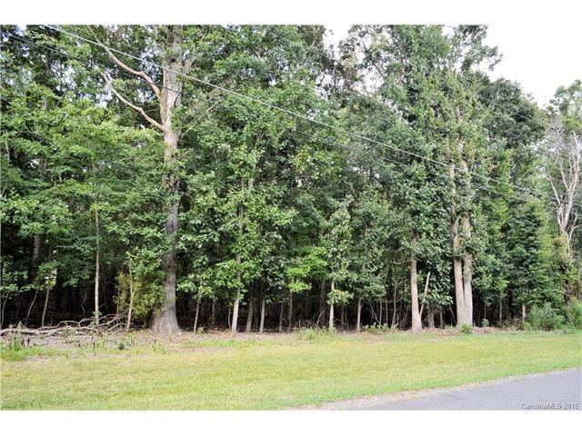 Lot#33, Wildwood Road - Photo 1