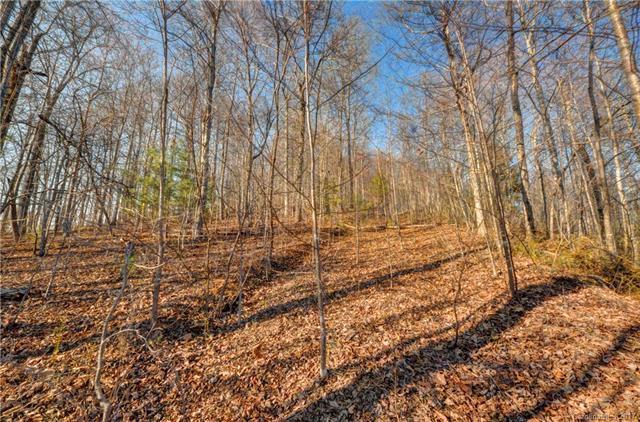 527 Overlook Park Drive - Photo 1