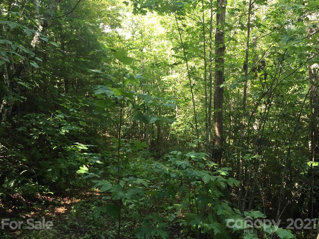 87 Stepp Ridge Court - Photo 1