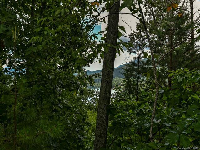 LOT 25 Hawks Nest Trail - Photo 1