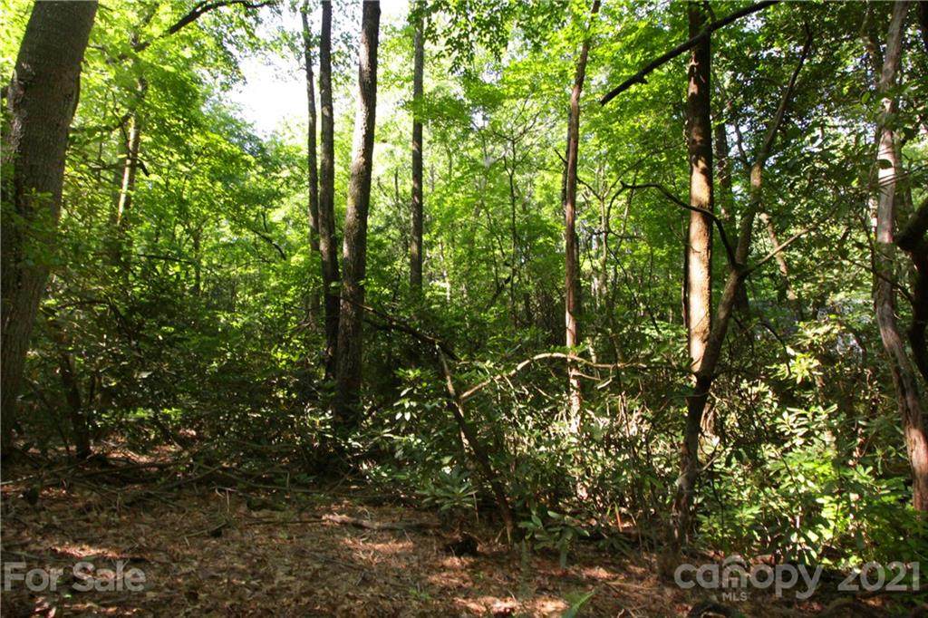 Lot 13 Laurel Ridge Road - Photo 1