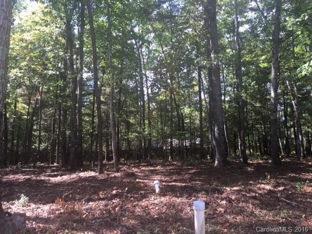 79 Running Creek Trail - Photo 1