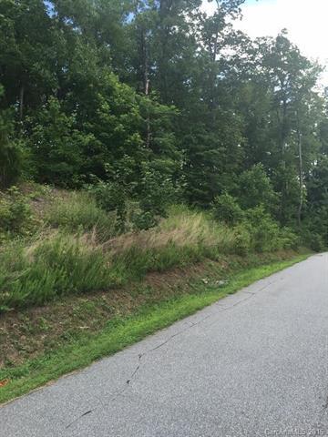 Lot 204 Catawba Falls Parkway - Photo 1