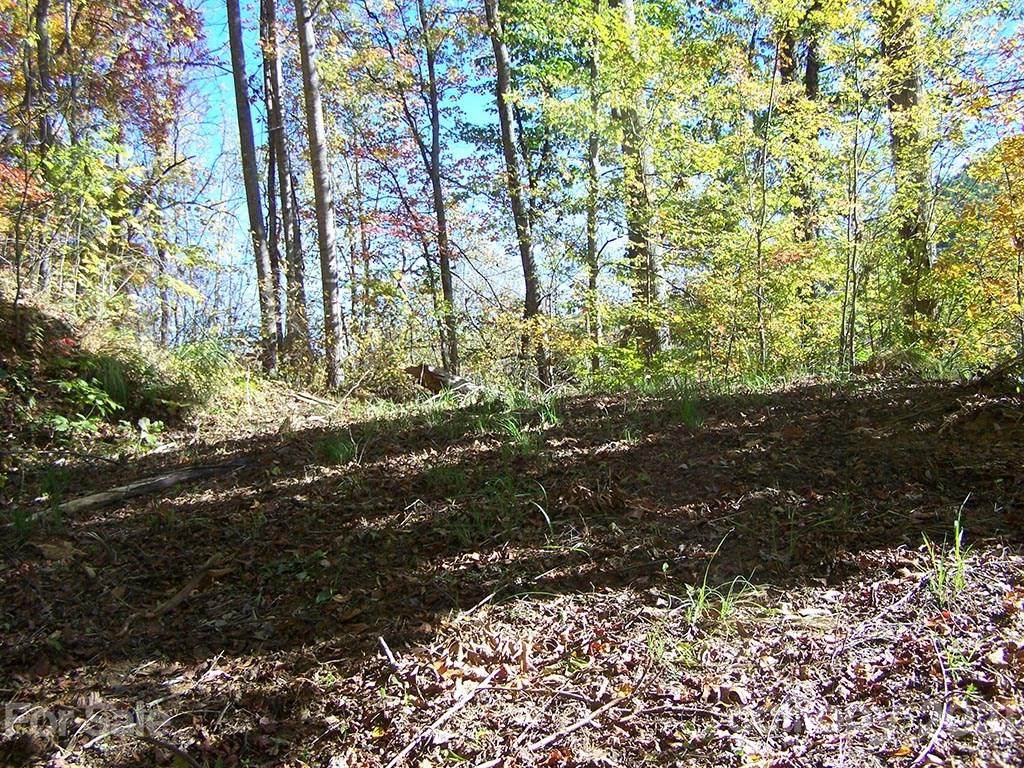 Lot 71 Running Deer Lane - Photo 1