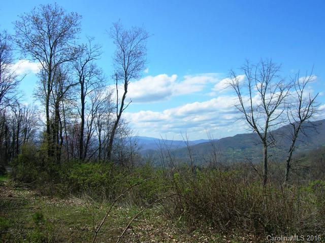Lot #23 Gap Road - Photo 1