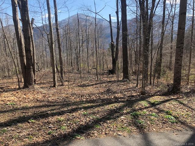 Lot 14 & 14A Blackberry Lane - Photo 1