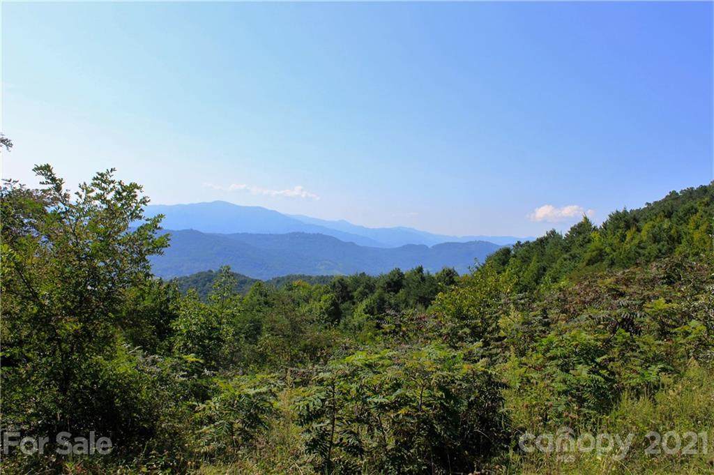 000 Crabtree Mountain Road - Photo 1