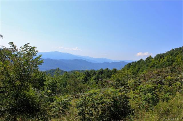 000 Crabtree Mountain Road - Photo 1