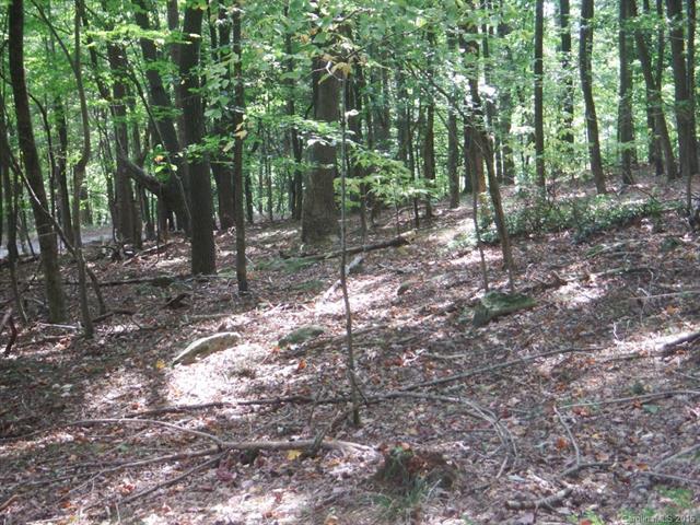 LOT 324 Big Rock Lane - Photo 1