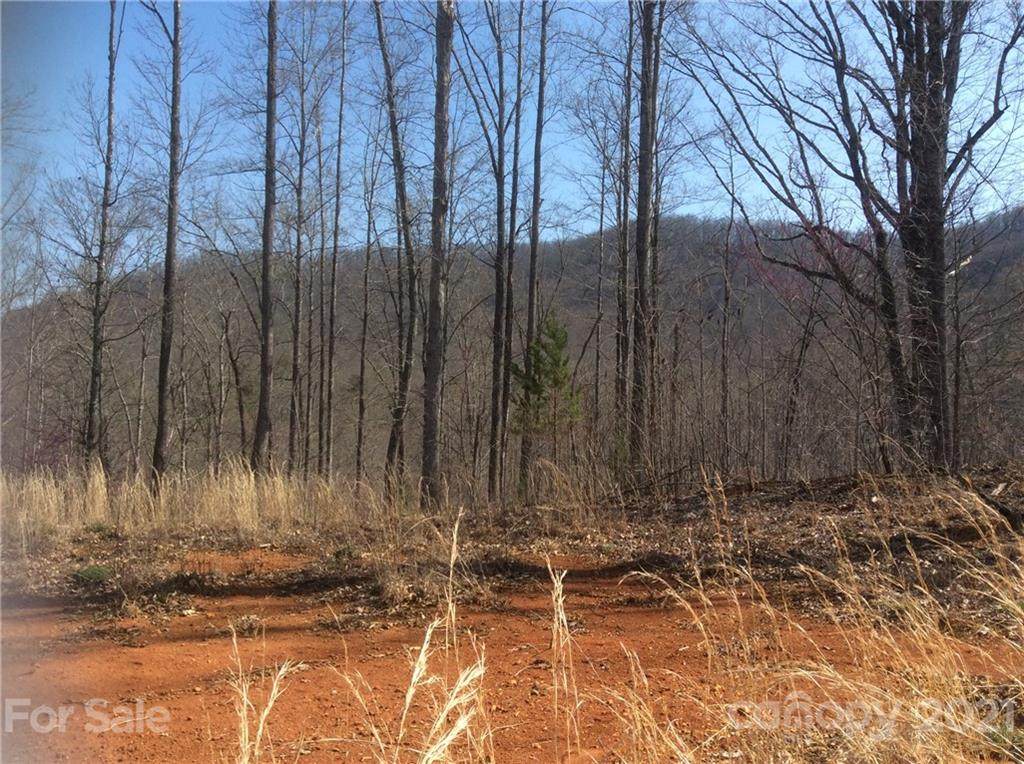 999 Hwy 226 Highway - Photo 1