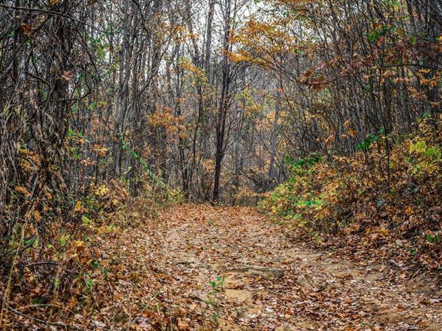 9999 Ox Creek Road - Photo 1