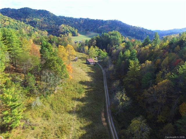 000 Julia Cove Road - Photo 1