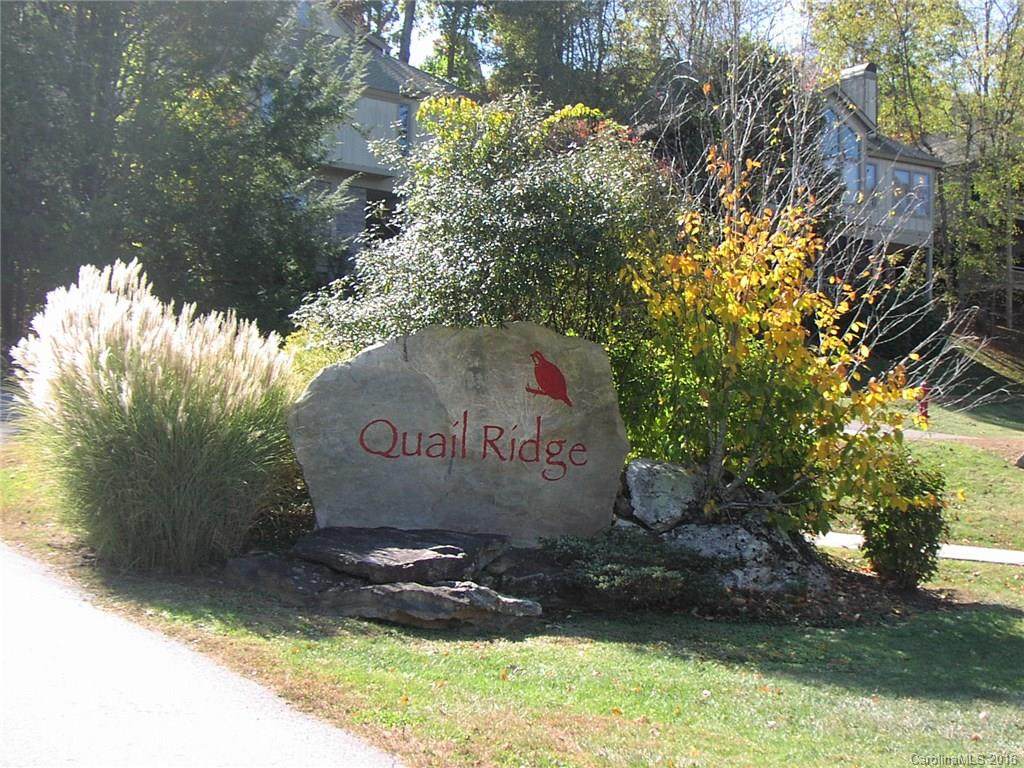 Lot 13 Ruffed Grouse Lane - Photo 1