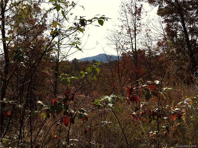 99999 Catawba Falls Parkway - Photo 1