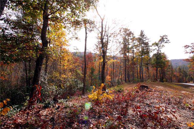 Lot 53 Wineberry Trail - Photo 1