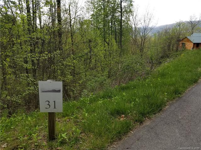 Lot 31 Cadillac Point - Photo 1