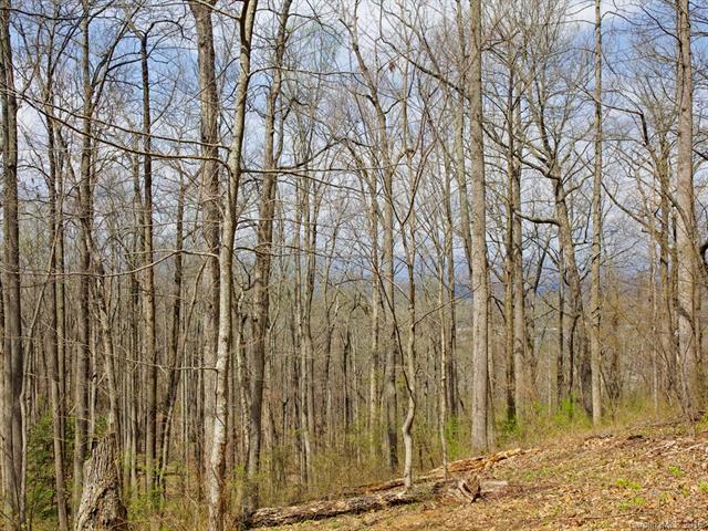 99999 Old Forest Drive - Photo 1