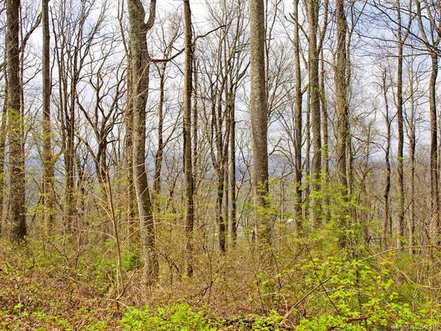 99999 Old Forest Drive - Photo 1