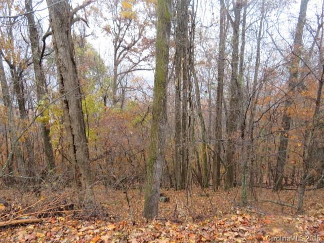 TBD Chestnut Ridge Road - Photo 1