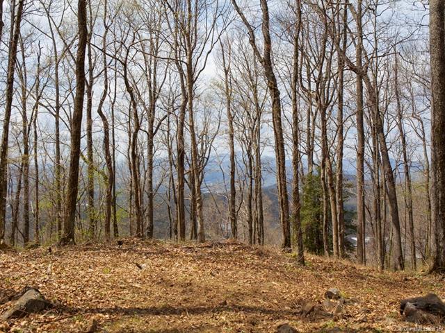 99999 Old Forest Drive - Photo 1