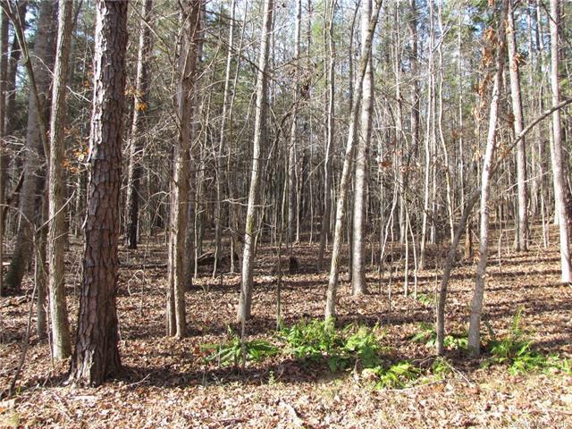 4850 Yellow Poplar Lane - Photo 1