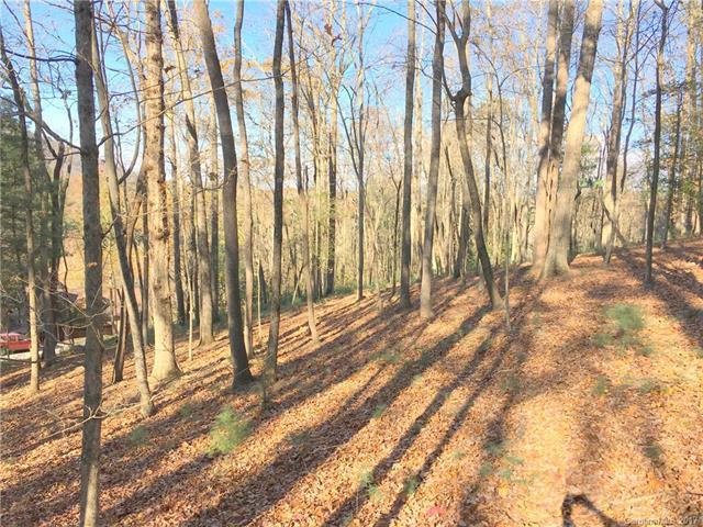 30 Dividing Ridge Trail - Photo 1