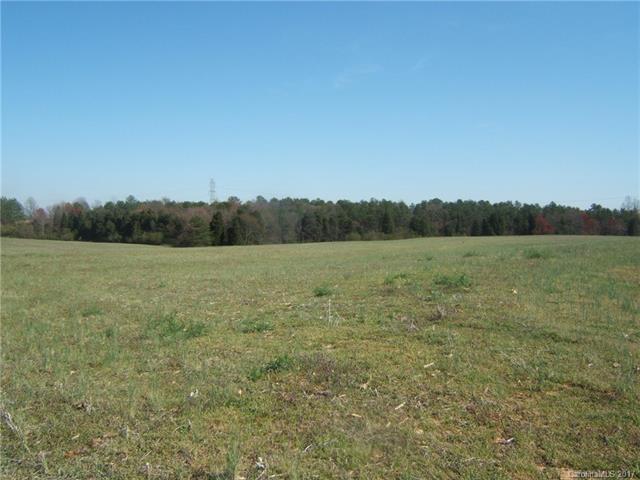 17 acres Ostwalt Amity Road - Photo 1