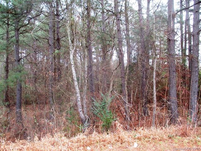 1812 Diggs Road - Photo 1