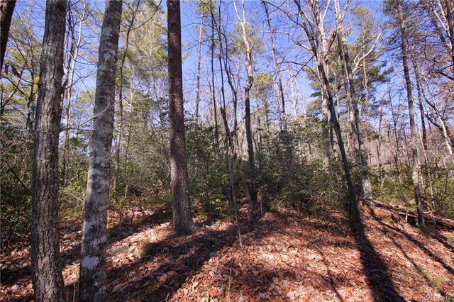 Lot 30 Oconee Bell Lane - Photo 1