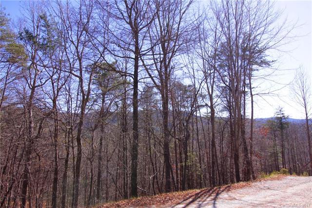 Lot 80 Round Mountain Road - Photo 1