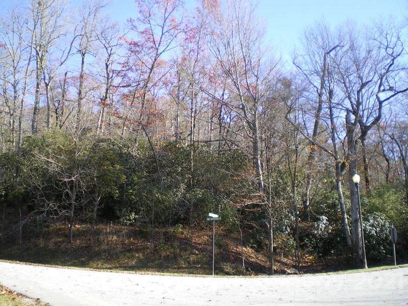 M12R Pine Mountain Trail - Photo 1