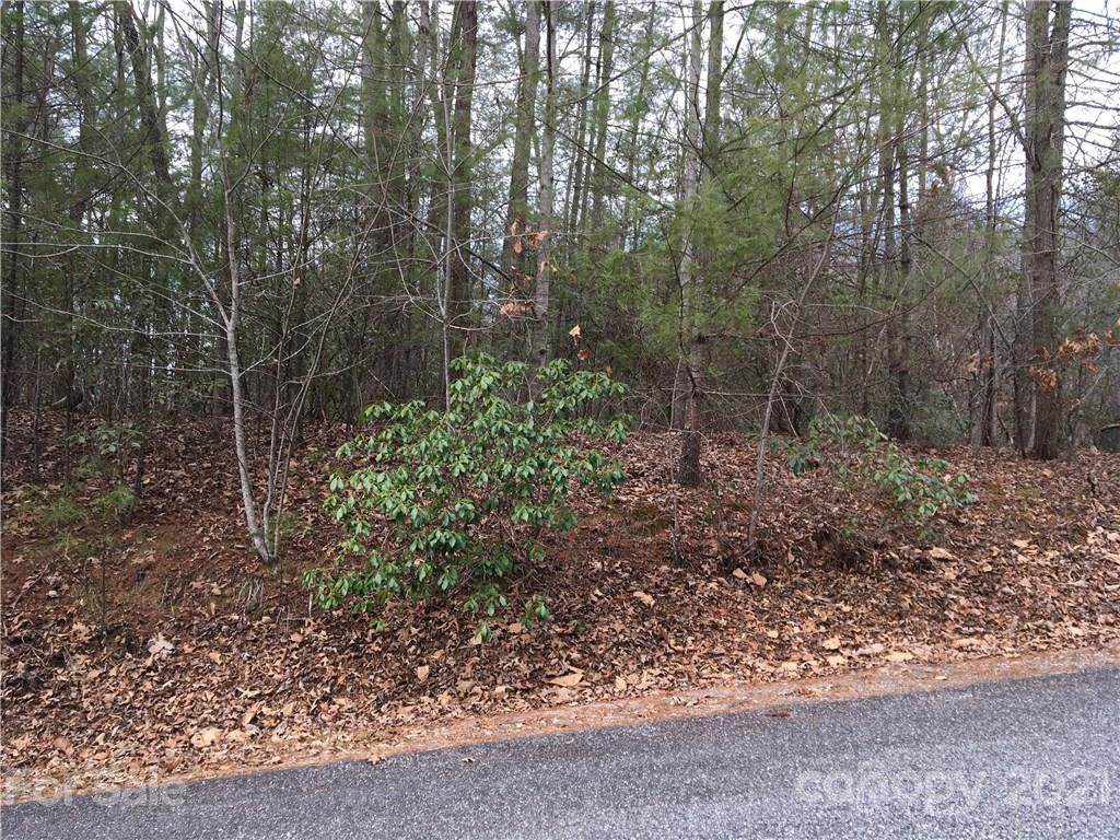 Lot 34 Deep Woods Drive - Photo 1