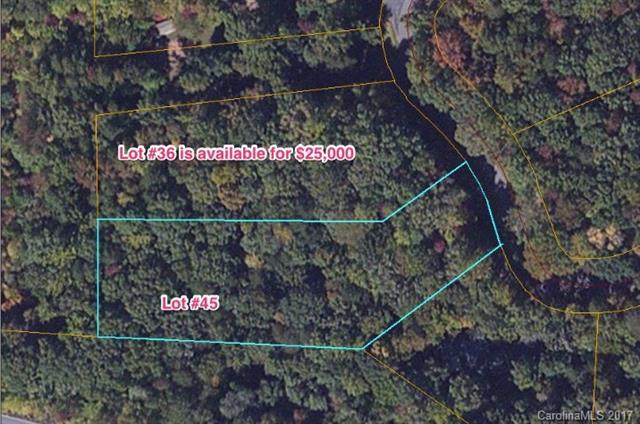 0 Duck Pond Lane - Photo 1