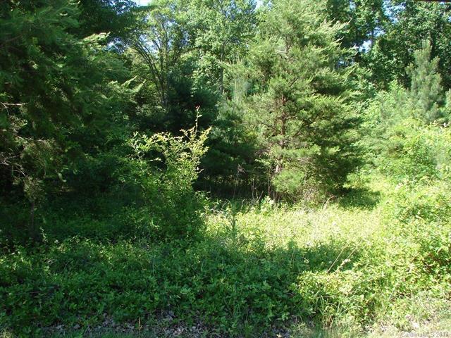 230 - Lot 10 Primrose Drive - Photo 1