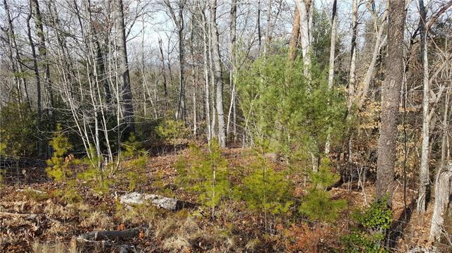 000 (Lot 58) Bridgewater Drive - Photo 1