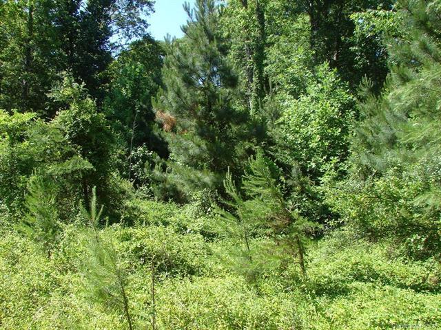 Lots 8,9,10/Lots 74, Primrose Drive - Photo 1