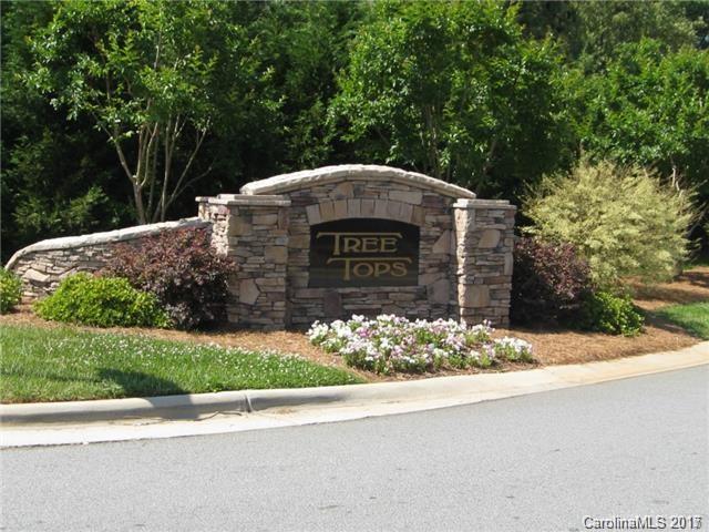Lot 131 Burning Ridge Drive - Photo 1