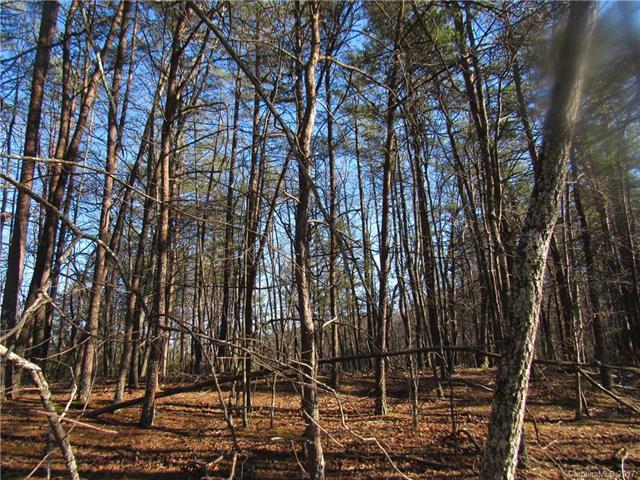 0 Buffalo Shoals Road - Photo 1