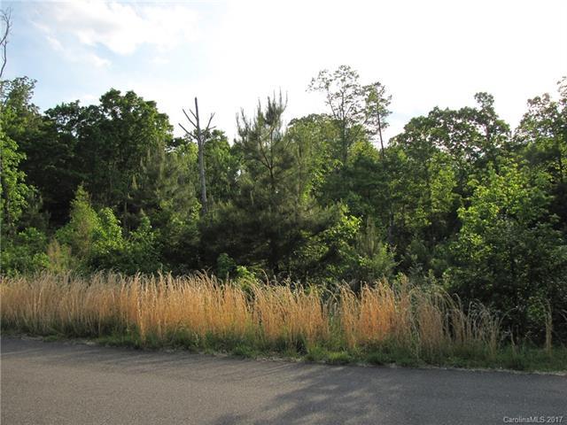 137 Evening Shadow Road - Photo 1