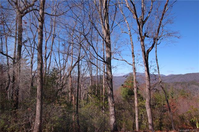 Lot 17 Arrowhead Ridge Road - Photo 1