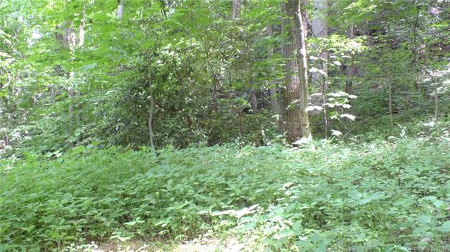 00 Songbird Trail - Photo 1