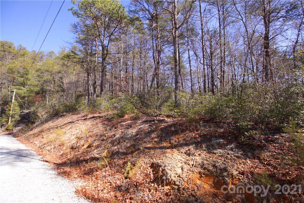 Lot 48 Round Mountain Road - Photo 1
