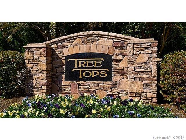 Lot 105 Burning Ridge Drive - Photo 1