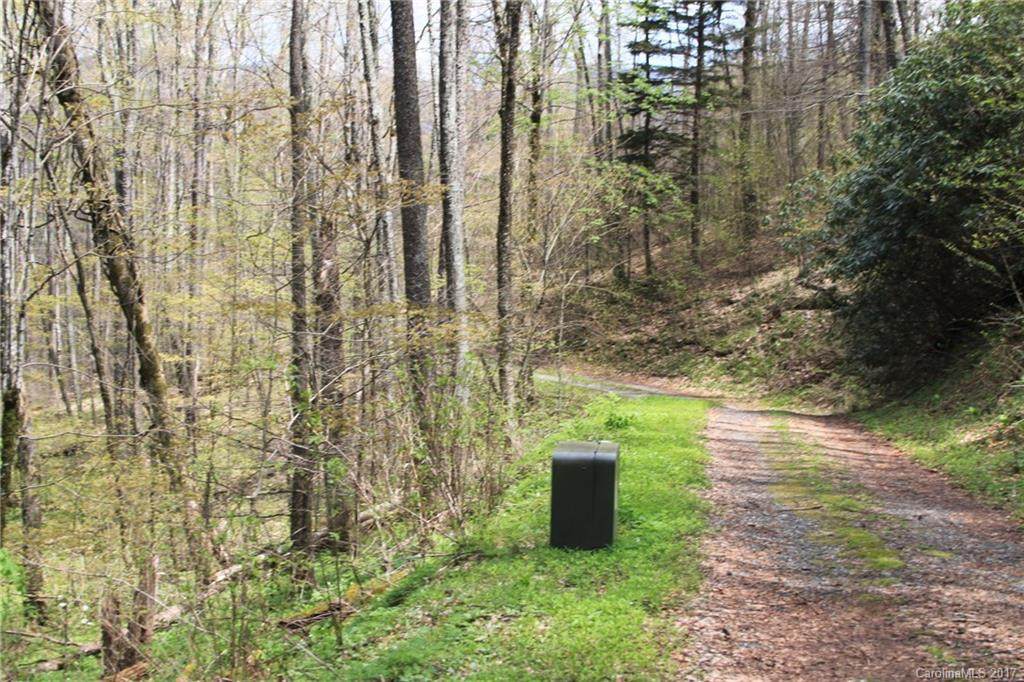 0000 Big Spring Trail - Photo 1