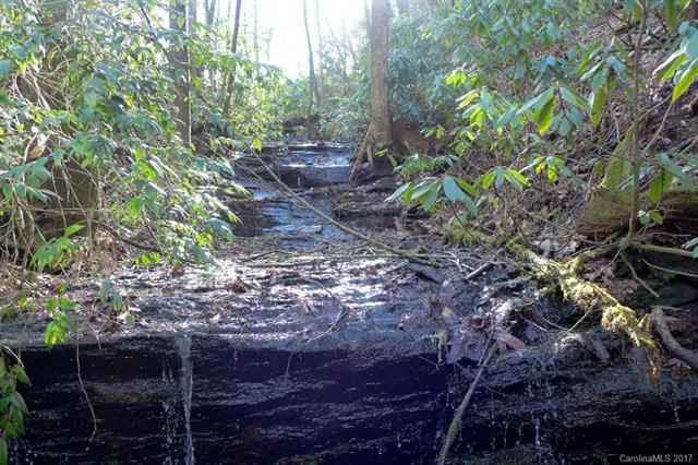 00 Steel Creek Road - Photo 1