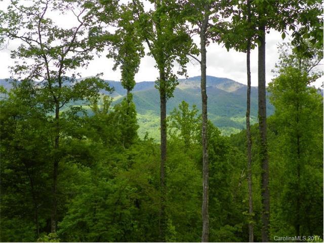 Lot 128 Gin Pole Way - Photo 1
