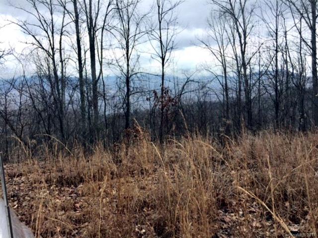 Lot #12 & #13 Utica Trail - Photo 1