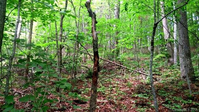 00 Poplar Cove Road - Photo 1